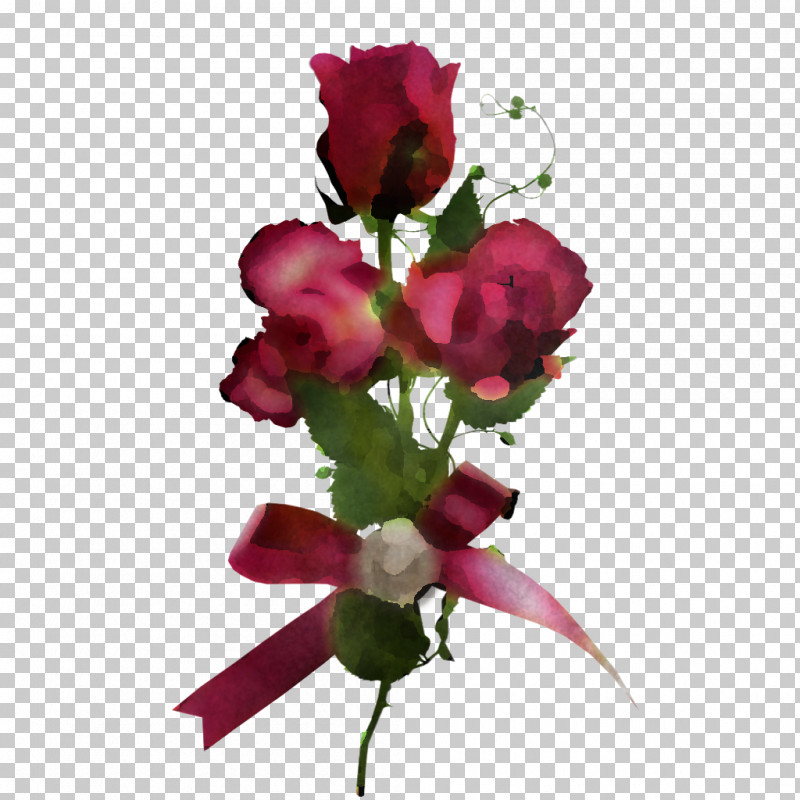 Garden Roses PNG, Clipart, Artificial Flower, Biology, Bud, Cut Flowers, Floral Design Free PNG Download