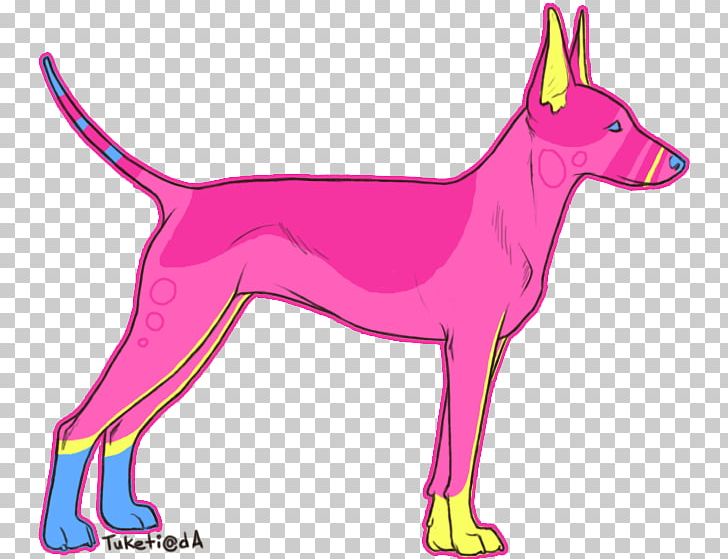 Dog Breed Pink M Snout PNG, Clipart, Breed, Carnivoran, Dog, Dog Breed, Dog Like Mammal Free PNG Download
