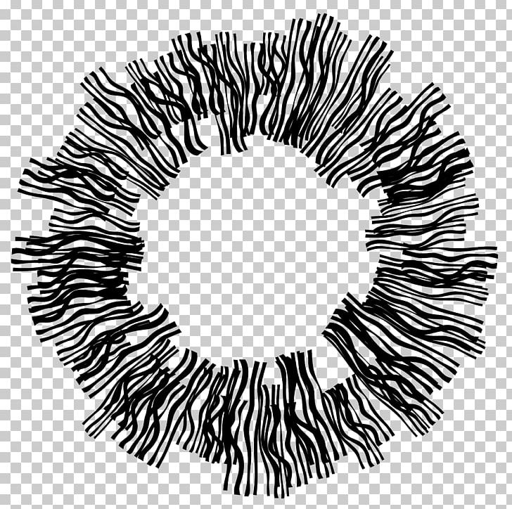 Line White Tree Black M Font PNG, Clipart, Art, Black, Black And White, Black M, Circle Free PNG Download