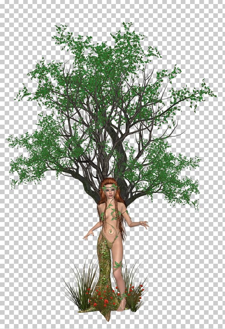 Tropical Woody Bamboos Dryad Tree PNG, Clipart, Artificial Flower, Ash Tree, Bamboo, Branch, Dryad Free PNG Download
