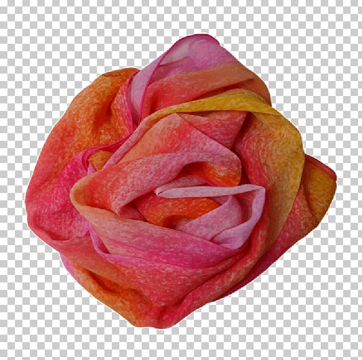 Garden Roses Cabbage Rose Petal Cut Flowers PNG, Clipart, Closeup, Cut Flowers, Flower, Garden, Garden Roses Free PNG Download
