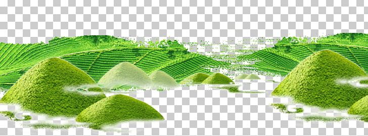 Green Tea Tea Culture Tea Garden PNG, Clipart, Avoid Vector, Background Green, Chashitsu, Chinese Tea, Design Vector Free PNG Download