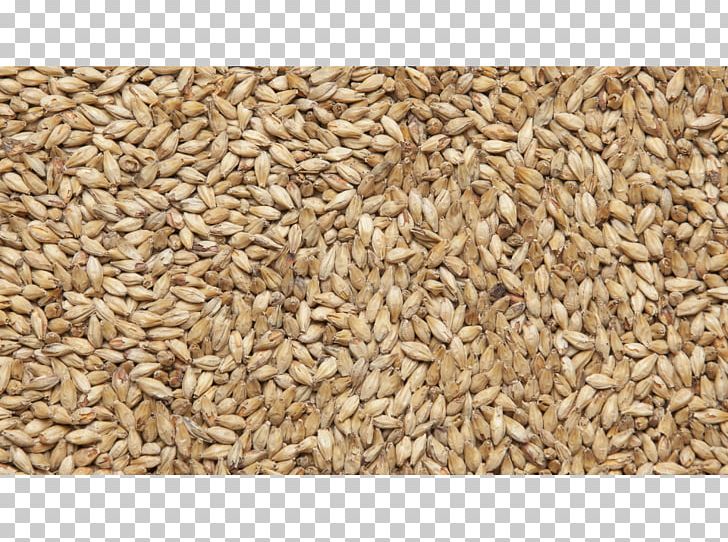 Oat Pale Ale Beer Malt PNG, Clipart, Avena, Beer, Beer Brewing Grains Malts, Bock, Brewery Free PNG Download