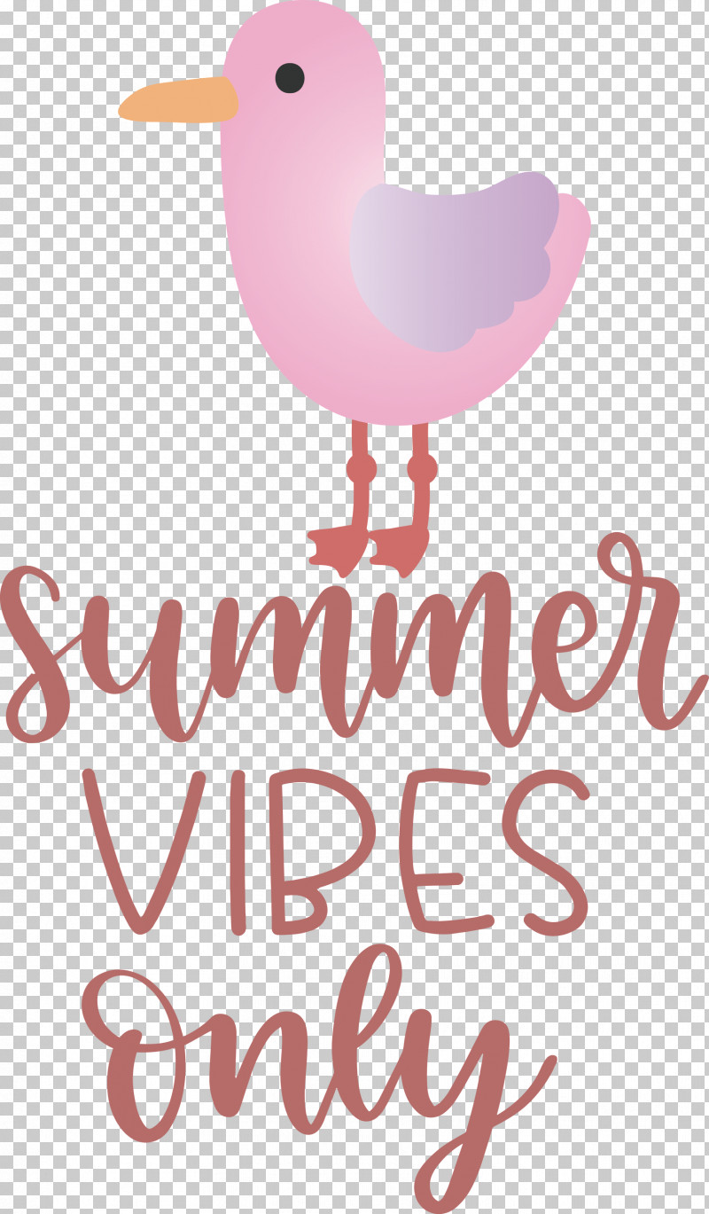 Summer Vibes Only Summer PNG, Clipart, Beak, Biology, Birds, Heart, M095 Free PNG Download