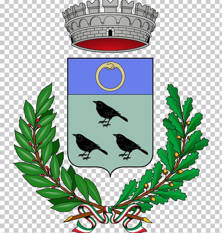 Albano Laziale Cossano Canavese Fiumicino Tigliole Coat Of Arms PNG, Clipart, Albano Laziale, Artwork, Beak, Blazon, Branch Free PNG Download