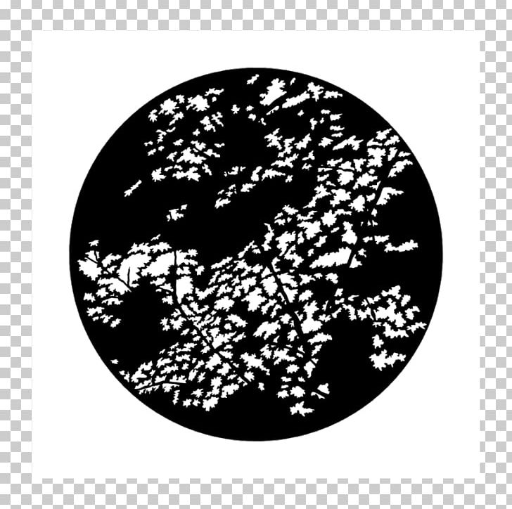 Light Gobo Forest Floor Branch PNG, Clipart, Apollo, Black, Black And White, Branch, Candle Free PNG Download
