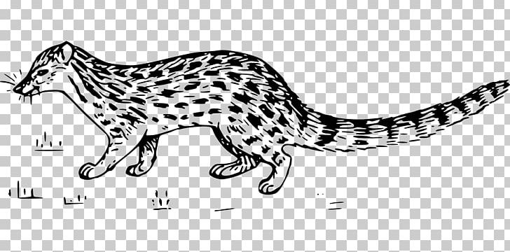 Whiskers Wildcat Cheetah Leopard PNG, Clipart, Animal, Animal Figure, Animals, Big Cats, Black And White Free PNG Download