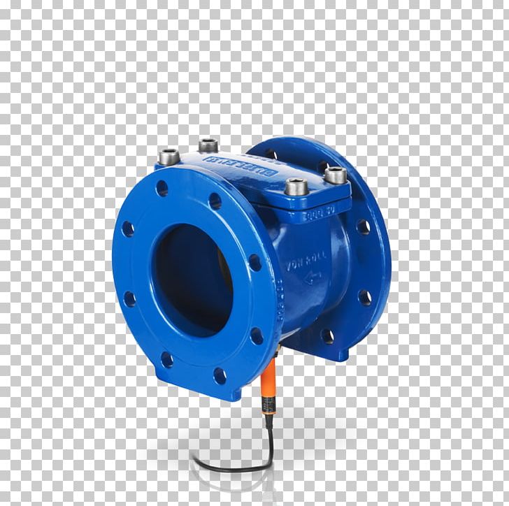 Check Valve Drinking Water Pump Spring PNG, Clipart, Check Valve, Common Fig, Drinking, Drinking Water, Fig Free PNG Download