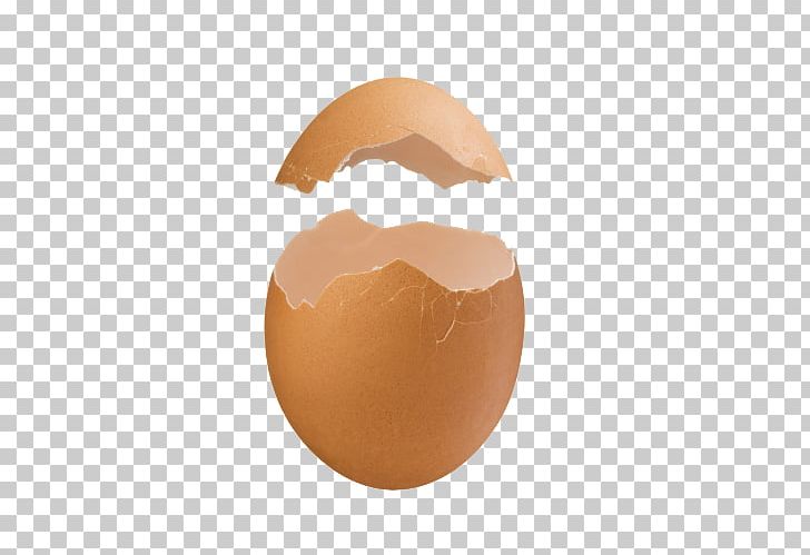 Eggshell Peel PNG, Clipart, Bird Egg, Camera, Chicken Egg, Egg, Eggshell Free PNG Download