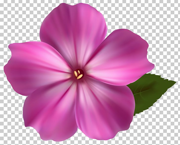 pink flowers clipart