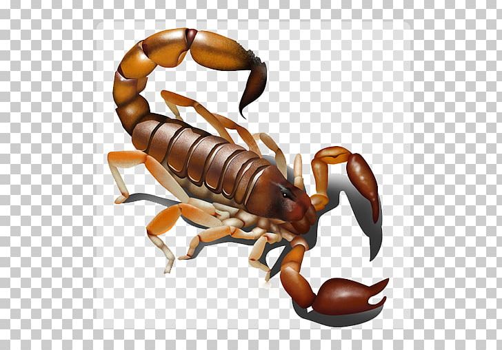 Scorpion Zodiac Astrology PNG, Clipart, Airbrush, Akrep, Arthropod, Astrological Sign, Astrology Free PNG Download
