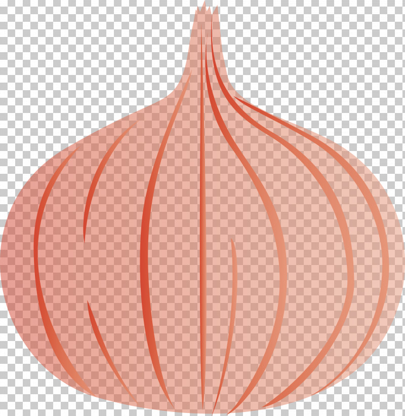Onion PNG, Clipart, Biology, Fruit, Geometry, Leaf, Line Free PNG Download