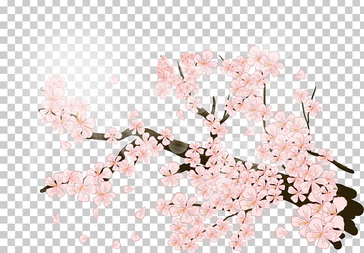 Cherry Blossom Illustration PNG, Clipart, Bamboo, Bamboo And Plum Blossom, Blossom, Blossoms, Blossom Vector Free PNG Download