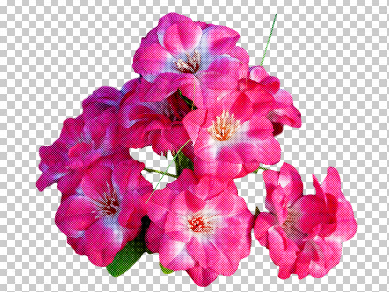 Floral Design PNG, Clipart, Annual Plant, Cranesbill, Cut Flowers, Floral Design, Flower Free PNG Download