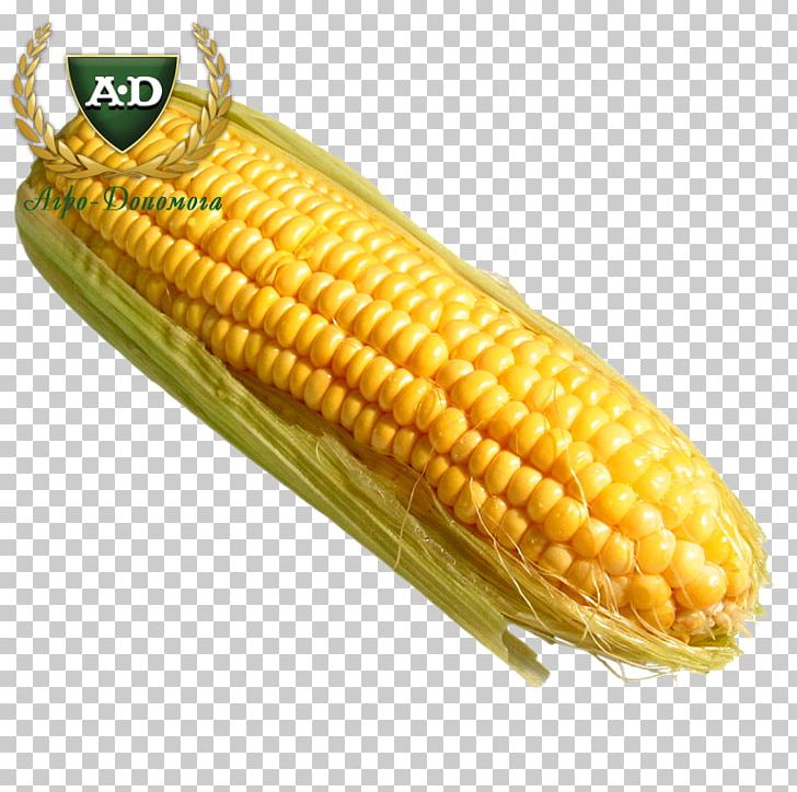Corn On The Cob Tamale Food Sweet Corn One Direction PNG, Clipart, Cake, Cereal, Commodity, Corn, Corn Kernel Free PNG Download