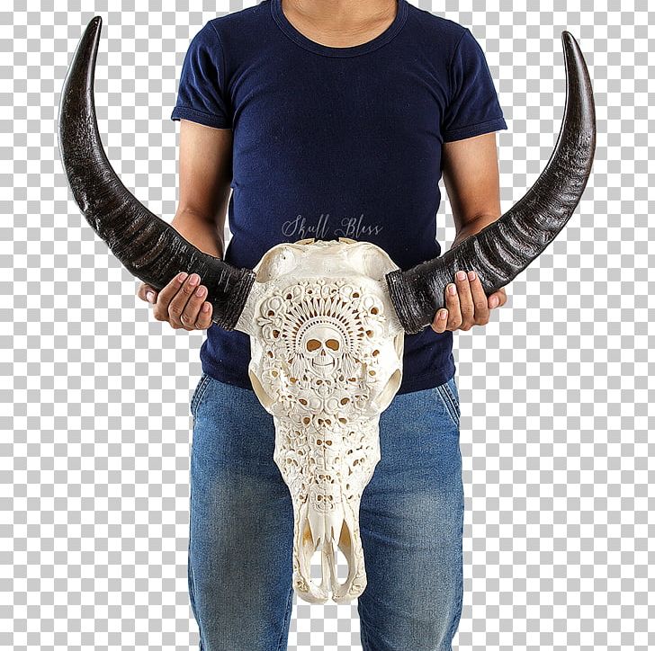 Human Skull Horn Human Skeleton PNG, Clipart, American Bison, Americans, Buffalo, Cattle, Culture Free PNG Download