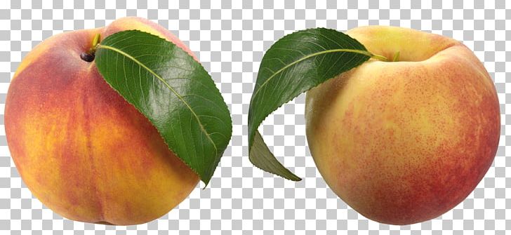 Nectarine Saturn Peach PNG, Clipart, Apple, Apricot, Auglis, Black And White, Download Free PNG Download