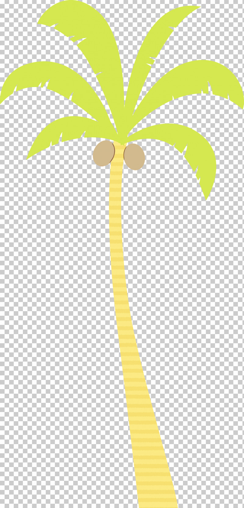 Palm Trees PNG, Clipart, Beach, Biology, Cartoon Tree, Leaf, Line Free PNG Download