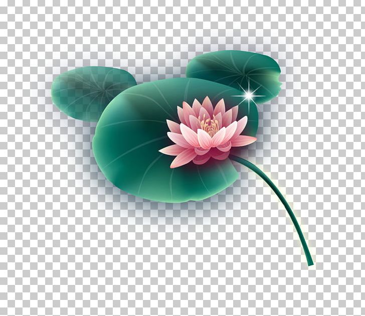 Nelumbo Nucifera Leaf Lotus Effect PNG, Clipart, Download, Entertainment, Euclidean Vector, Flower, Flowering Plant Free PNG Download