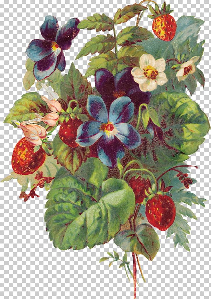Pansy Musk Strawberry PNG, Clipart, Berry, Computer Icons, Floral Design, Flower, Flower Arranging Free PNG Download