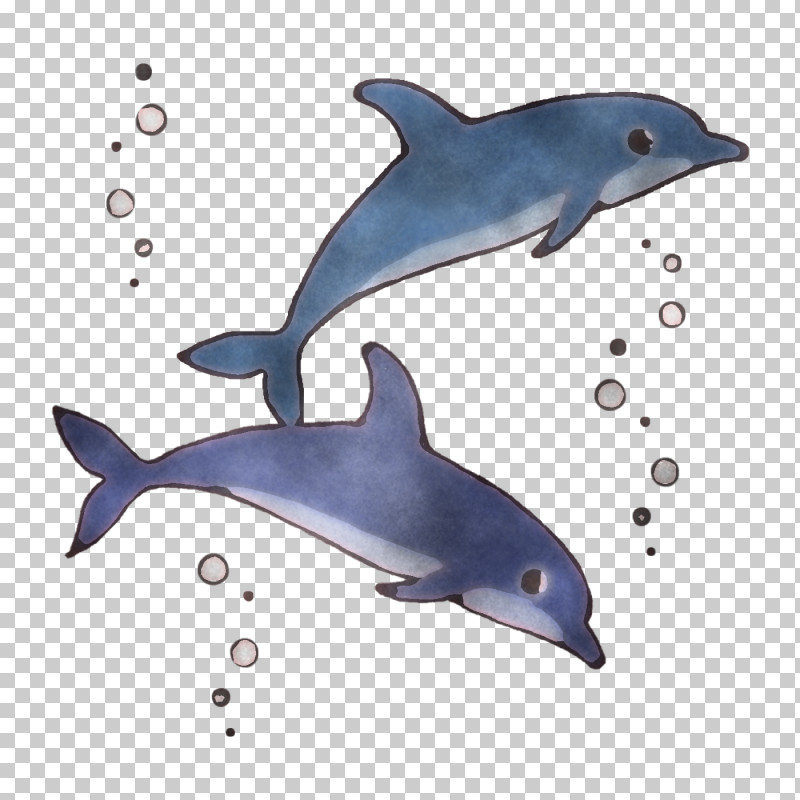 Short-beaked Common Dolphin Rough-toothed Dolphin Wholphin White-beaked Dolphin Porpoise PNG, Clipart, Bottlenose Dolphin, Cetaceans, Common Dolphins, Dolphin, Longbeaked Common Dolphin Free PNG Download