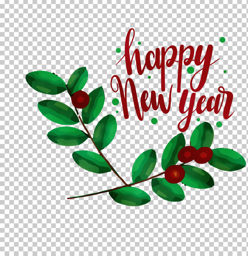 Holly PNG, Clipart, 3d Clips, 2021 Happy New Year, 2021 New Year, Happy New Year, Holly Free PNG Download
