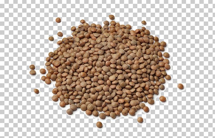 Lentil Ethiopian Cuisine Crumble Ham Poultry Feed PNG, Clipart, Bean, Cereal, Chickpea, Commodity, Common Free PNG Download