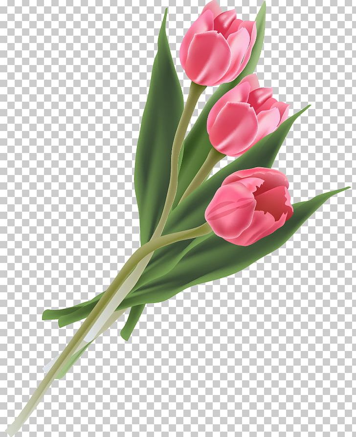 Tulip Flower Bouquet PNG, Clipart, Adobe Illustrator, Bouquet, Bud, Cut Flowers, Encapsulated Postscript Free PNG Download