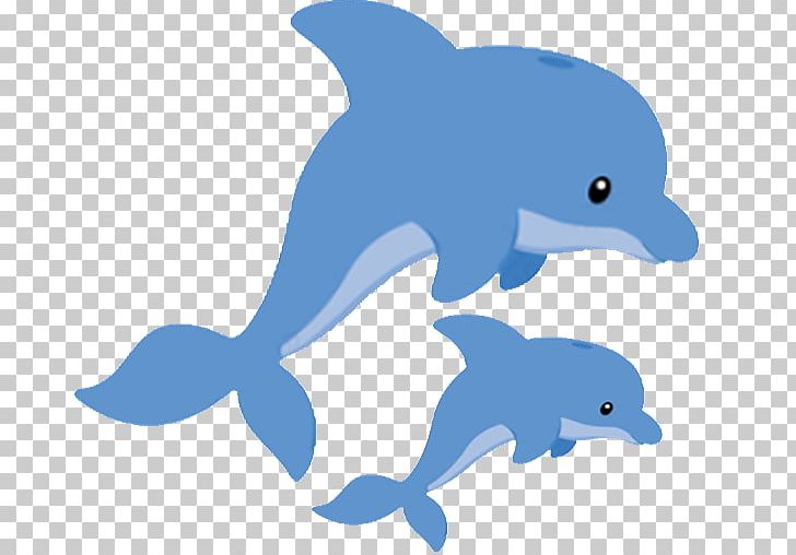 Common Bottlenose Dolphin Tucuxi PNG, Clipart, Animal, Baby Shower, Beak, Blue, Bottlenose Dolphin Free PNG Download