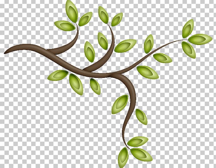 Tree Frames Branch Plant Leaf PNG, Clipart, Branch, Description, Drawing, Flora, Flower Free PNG Download