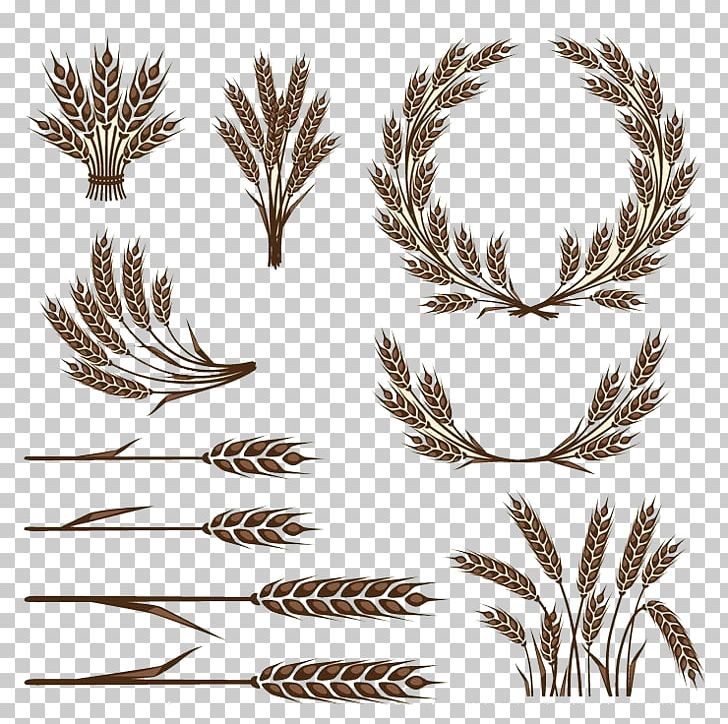 Wheat Icon PNG, Clipart, Advertising, Branch, Bread, Brown Rice, Caryopsis Free PNG Download