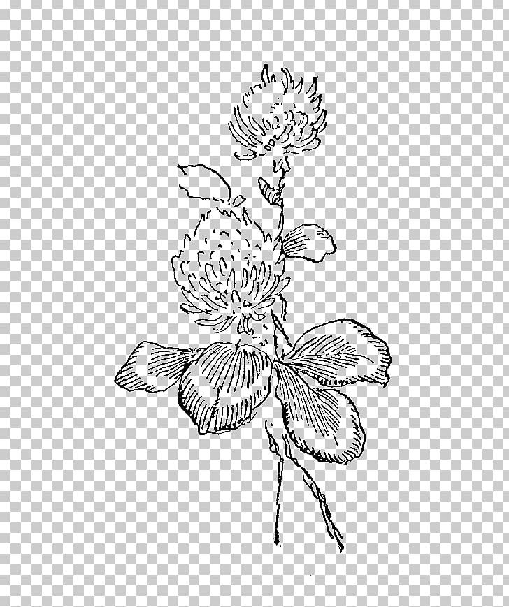 White Clover Red Clover Flower Illustration PNG, Clipart, Art, Artwork, Branch, Digital Stamp, Fictional Character Free PNG Download