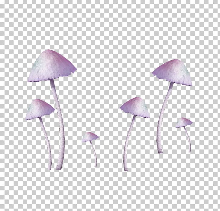 Amanita Muscaria Common Mushroom Fungus PNG, Clipart, Amanita, Amanita Muscaria, Christmas Decoration, Common Mushroom, Decoration Free PNG Download