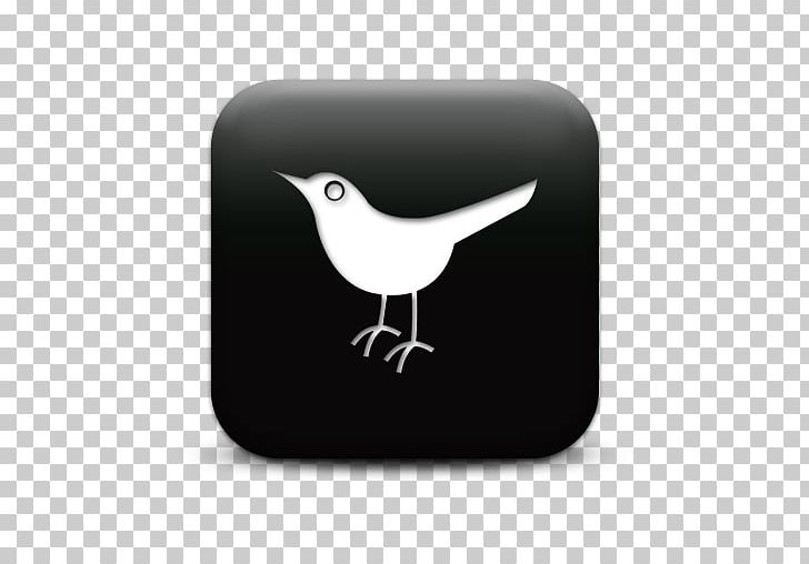 Social Media Mass Media Social Networking Service Blog PNG, Clipart, Beak, Bird, Black And White, Blog, Computer Icons Free PNG Download