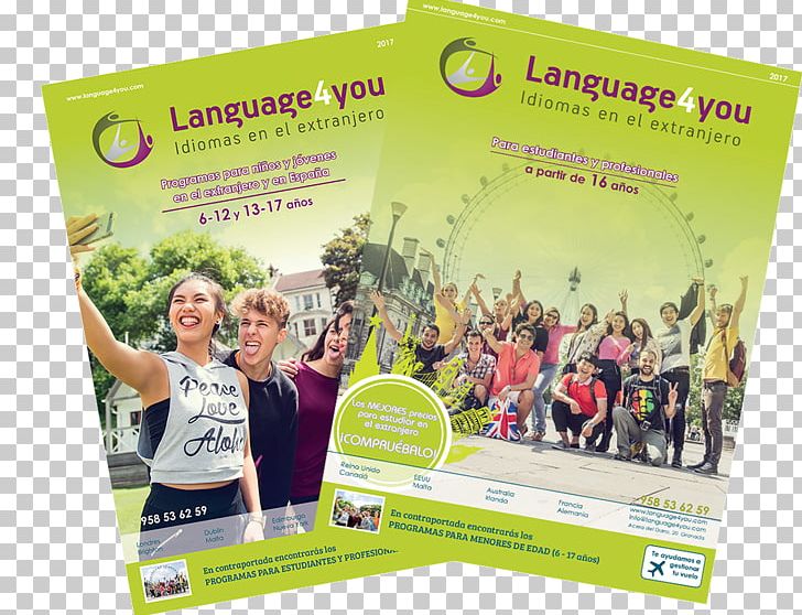Translation Knowledge Language4you Summer Camp Academic Year PNG, Clipart, Academic Year, Actividad, Advertising, Alli, Child Free PNG Download