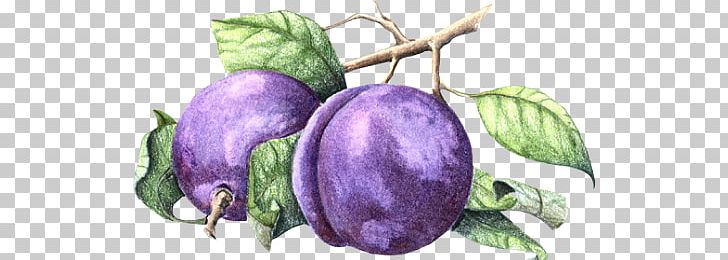 Fruit Drawing Jam Varenye PNG, Clipart, Auglis, Berry, Cerasus, Drawing, Food Free PNG Download