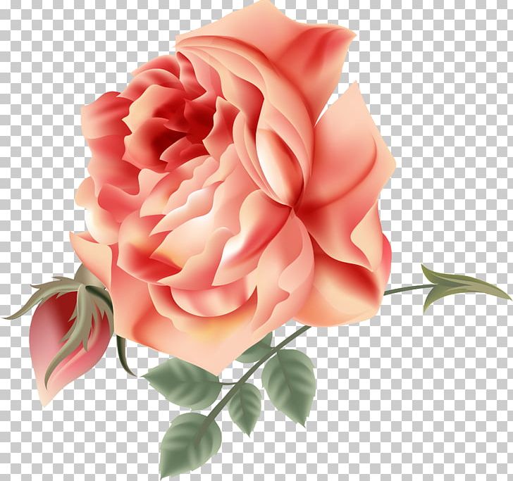 Garden Roses Cabbage Rose Cut Flowers Floral Design PNG, Clipart, Artificial Flower, Blume, Cut Flowers, Floral Design, Floribunda Free PNG Download