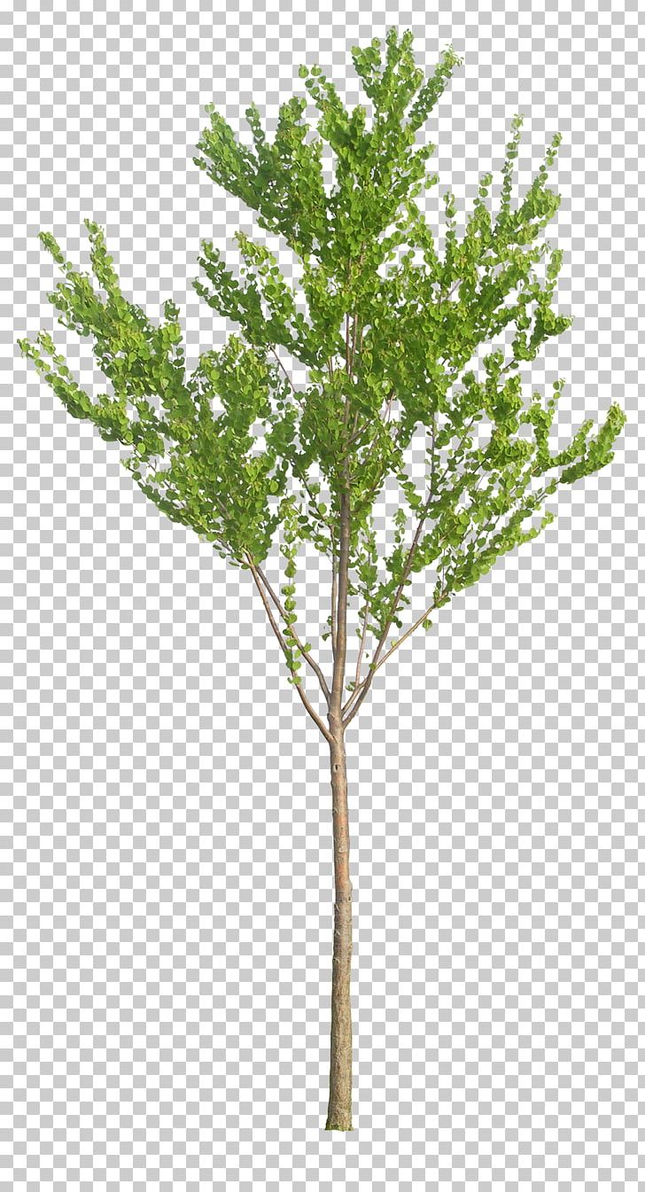 Tree Baby's-breath Artificial Flower Plant PNG, Clipart, Artificial Flower, Babysbreath, Branch, Floral Design, Flower Free PNG Download
