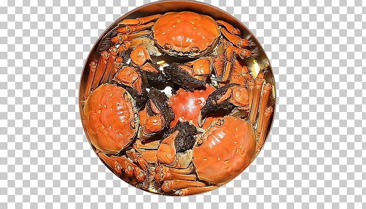 Chinese Mitten Crab Gaochun District Yangcheng Lake Gucheng Lake PNG, Clipart, Animals, Animal Source Foods, Chinese Mitten Crab, Christmas Island Red Crab, Crab Free PNG Download