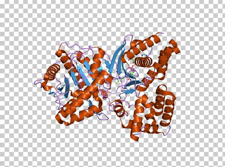 Choline Acetyltransferase Acetylcholine PNG, Clipart, Acetylcholine, Acetyl Group, Acetyltransferase, Bound, Catalysis Free PNG Download