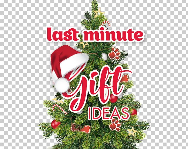 Christmas Tree Christmas Ornament PNG, Clipart, Advent Wreath, Christmas, Christmas And Holiday Season, Christmas Card, Christmas Decoration Free PNG Download