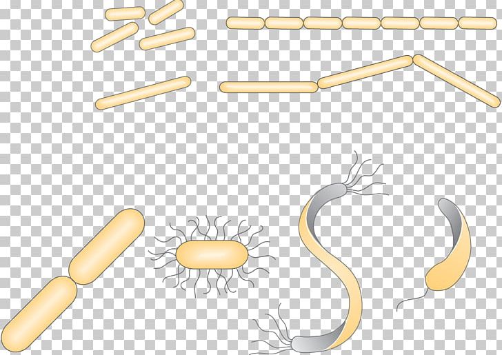Line Material Angle PNG, Clipart, Angle, Finger, Joint, Line, Material Free PNG Download