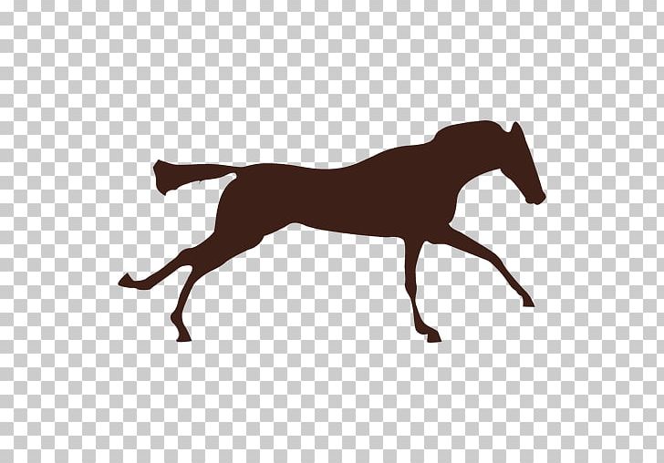 Mustang Gallop Motion Pony Foal PNG, Clipart, Black And White, Bridle, Colt, Dog Like Mammal, Eadweard Muybridge Free PNG Download
