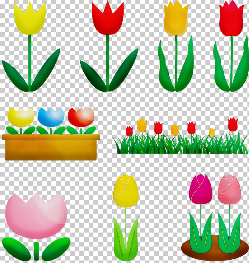 Tulip Plant Flower Petal PNG, Clipart, Flower, Paint, Petal, Plant, Tulip Free PNG Download