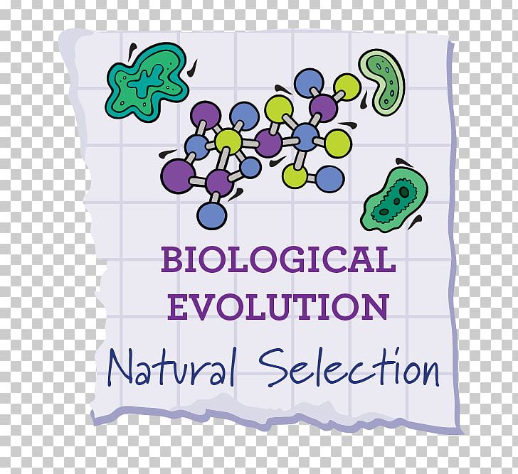 Natural Selection Selective Breeding Evolution Phenotypic Trait Common Descent PNG, Clipart, Adaptation, Ancestor, Animal, Area, Biology Free PNG Download