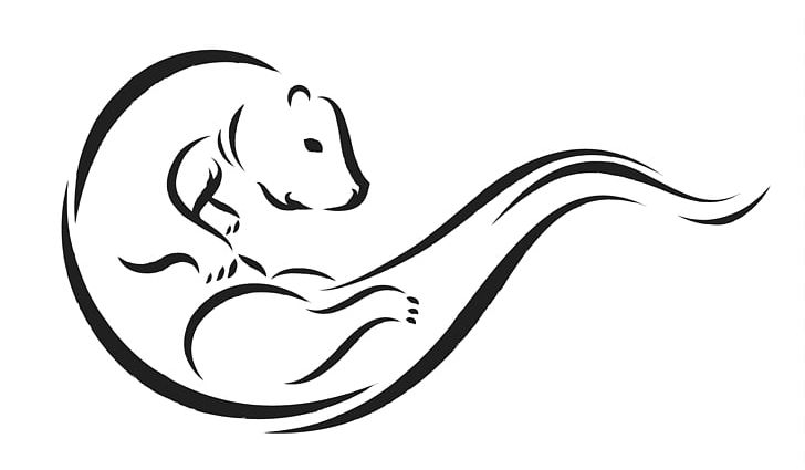 North American River Otter Sea Otter Marinara Sauce Line Art PNG, Clipart, Artwork, Black And White, Body Jewelry, Carnivoran, Cartoon Free PNG Download