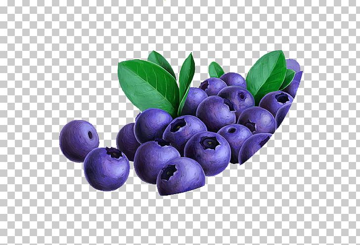 Blueberry Bilberry Fruit Lingonberry Anthocyanidin PNG, Clipart, Anthocyanidin, Aristotelia Chilensis, Auglis, Berry, Bilberry Free PNG Download