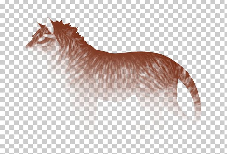 Cat Dog Felidae Lion Whiskers PNG, Clipart, Animals, Brindle, Carnivora, Carnivoran, Cat Free PNG Download