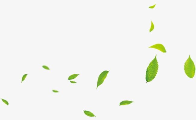 Small Green Leaves PNG, Clipart, Green, Green Clipart, Green Clipart, Leaf, Leaves Free PNG Download