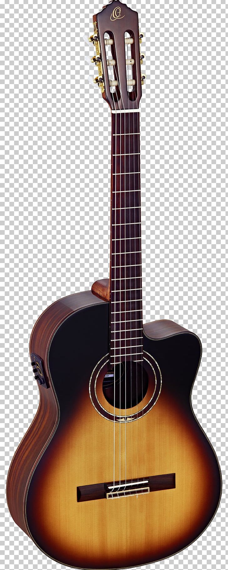 Twelve-string Guitar Classical Guitar Steel-string Acoustic Guitar PNG, Clipart, Acoustic Electric Guitar, Amancio Ortega, Classical Guitar, Cuatro, Guitar Accessory Free PNG Download